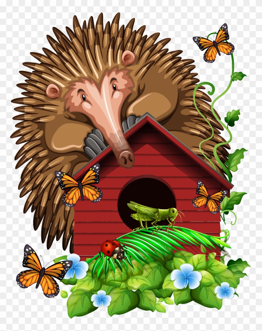 Insect Butterfly Cartoon Illustration - Insect Butterfly Cartoon Illustration #808516
