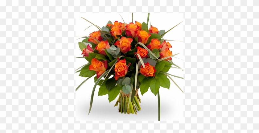 Boquet Of Orange Roses - Boquet Of Orange Roses #808576
