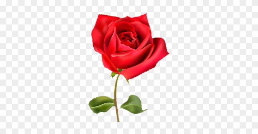 Free Finest Finest Villa Rosa With Rosa With Rosa With - Rosicrusian Mystic's Prayer: Interpretation Of The #809095
