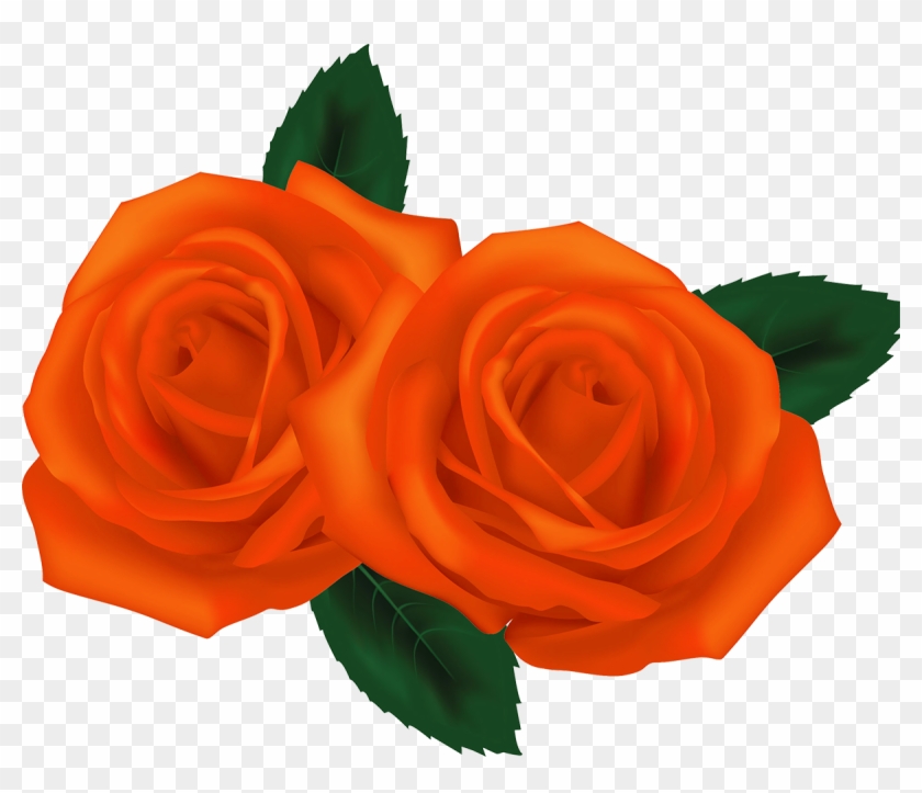 Pink Roses Garden Roses Clip Art - Pink Roses Garden Roses Clip Art #809454
