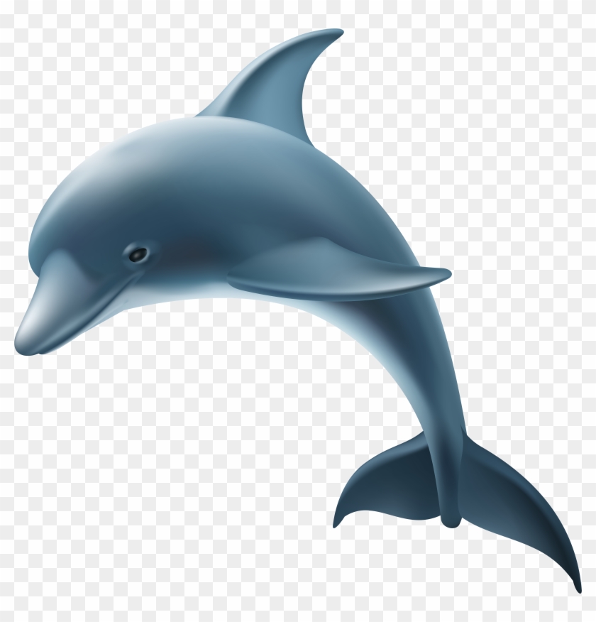 Dolphin Png Clip Art Image - Dolphin Png Clip Art Image #809793