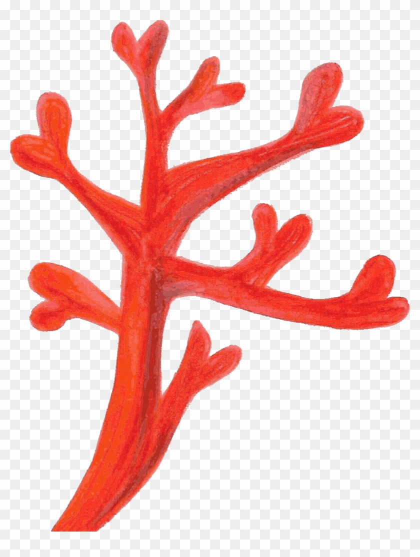 Red Coral Clipart - Coral Clip Art Png #809875