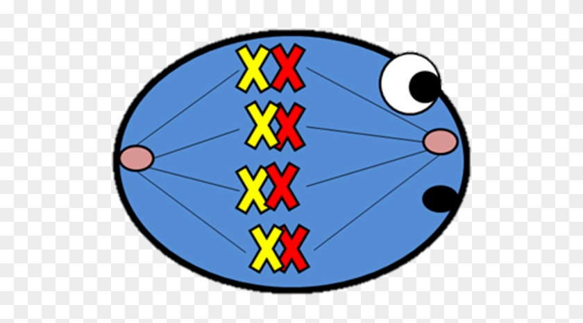 Picture - Circle #810043