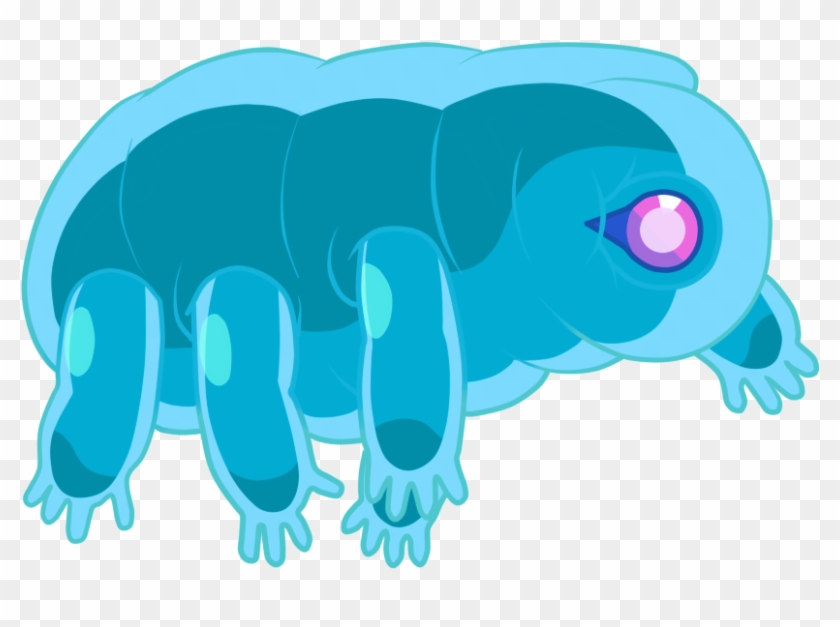 Https - //static - Tvtropes - Org/pmwiki/pub/images/ - Steven Universe Water Bear #810218