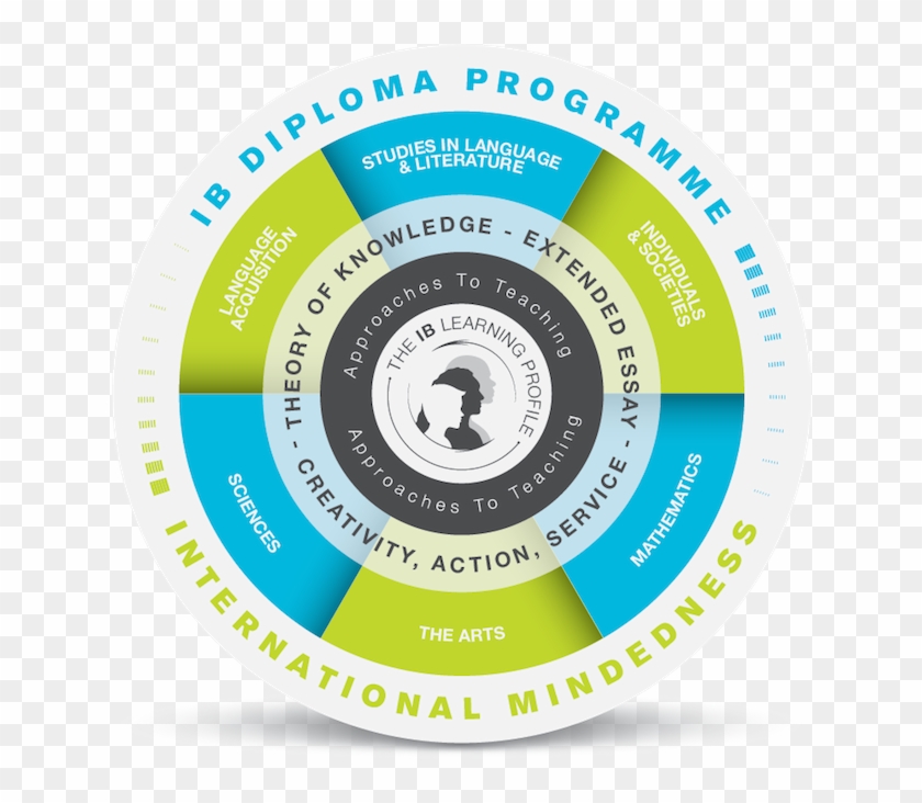 Ib-circle - Tok Areas Of Knowledge #810229