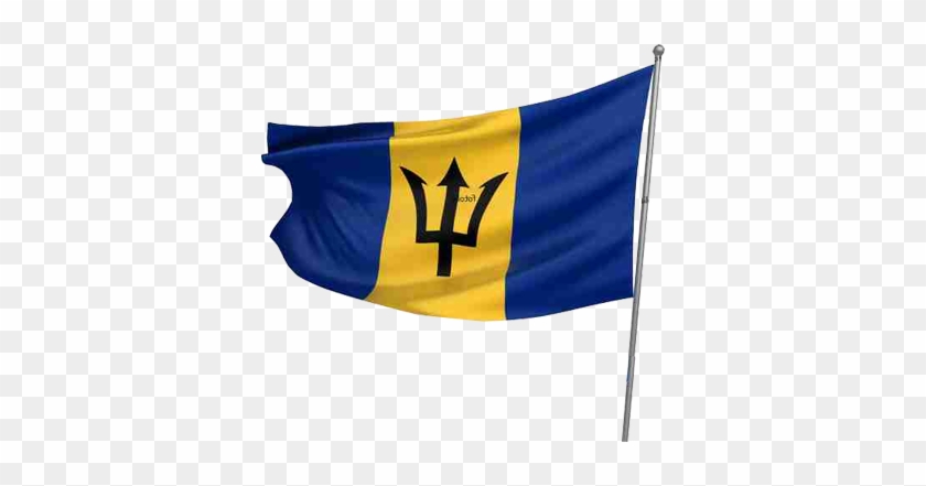 Concha Barbados - Flag #810269