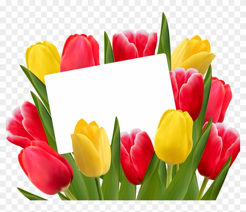 Яндекс - Фотки - Mother's Day Personalized Chocolate Bar Wrappers Tulip #810330