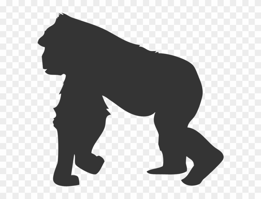 The Gorilla - The Gorilla #811396