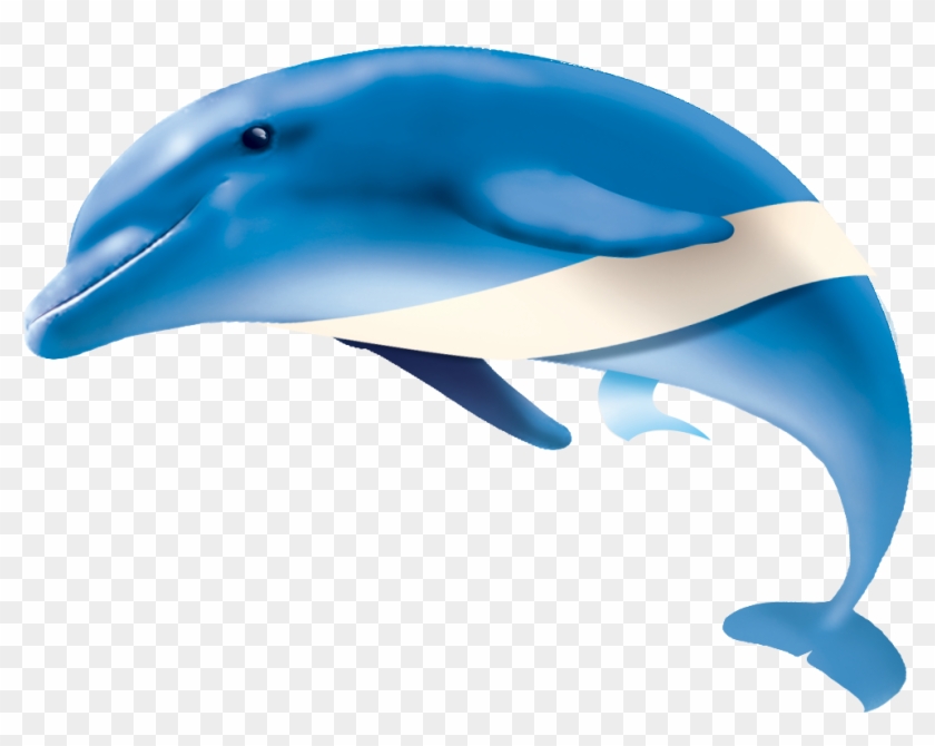 Dolphin Website - Dolphin - Dolphin Website - Dolphin #811652