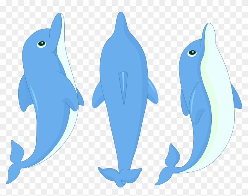 Dolphin Cartoon Clip Art - Dolphin Cartoon Clip Art #811961