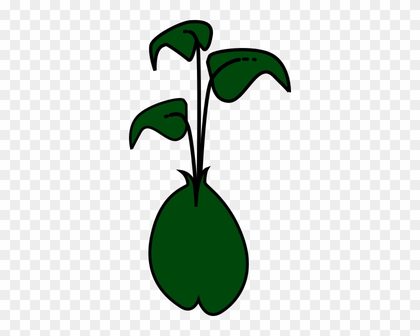 Bean Sprout Clipart #813768