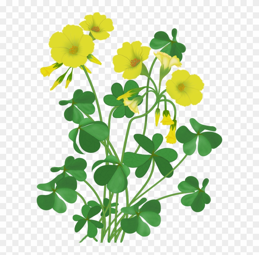 Flowers - Illustration #813777