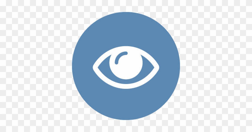 Vision Insurance - Dash Coin Logo Png #814379