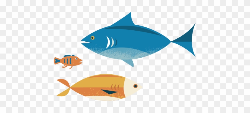 Pirate Ipsum - Coral Reef Fish #814906