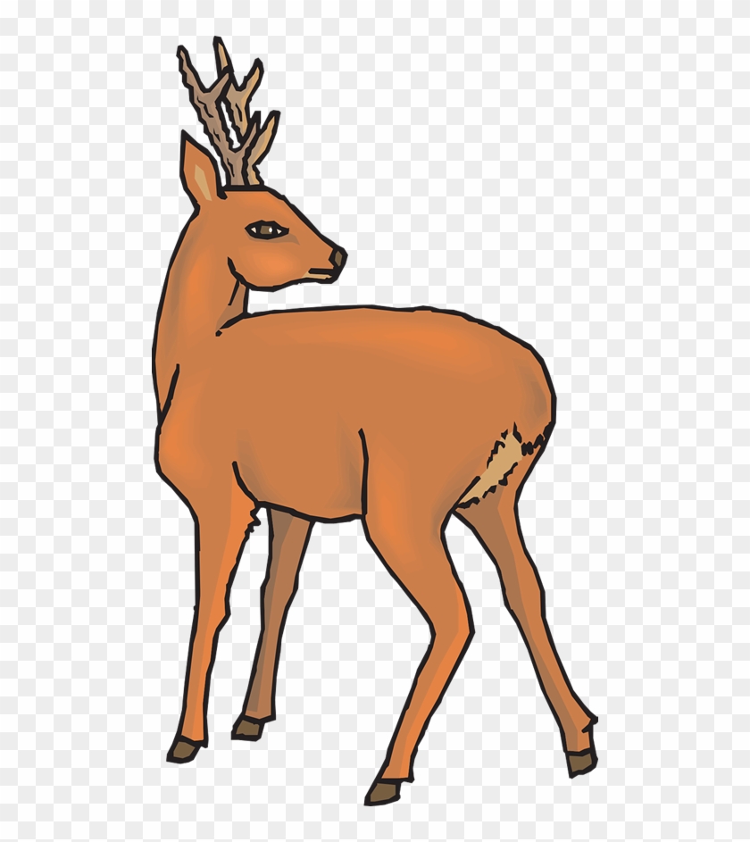 Deer Clip Art - Clipart Daino #149863
