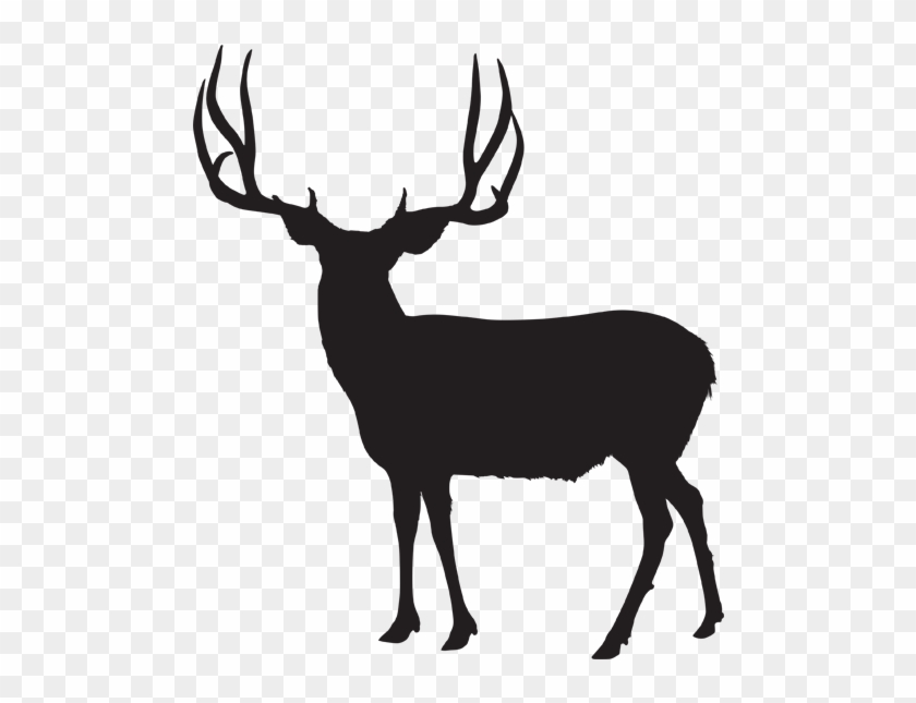 Hunts Â€“ Antler Canyon Outfitters - Utah Elk Unit Central Mountains Manti #149882