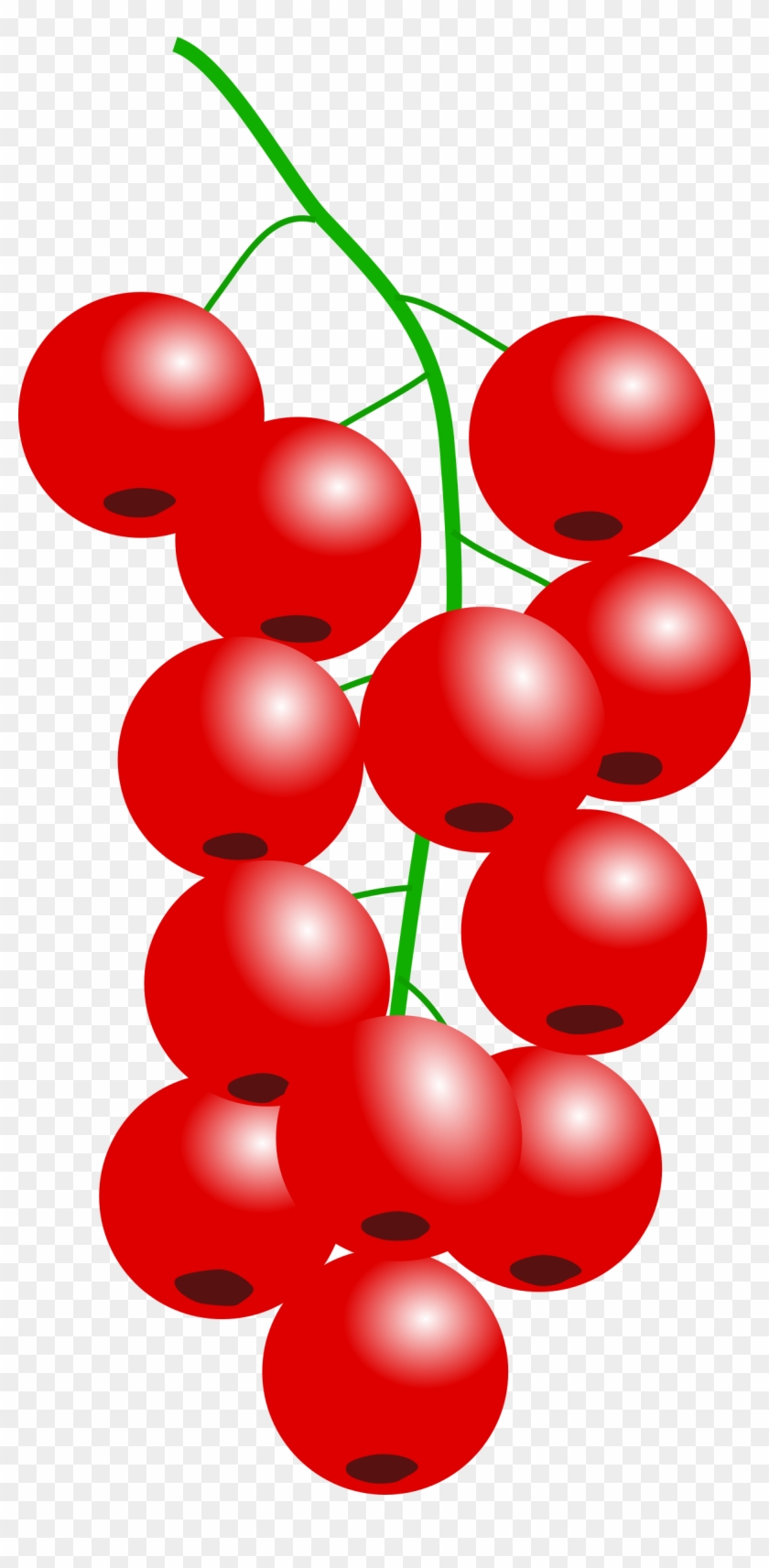 This Free Icons Png Design Of Redcurrant Png - Red Berries Shower Curtain #153685