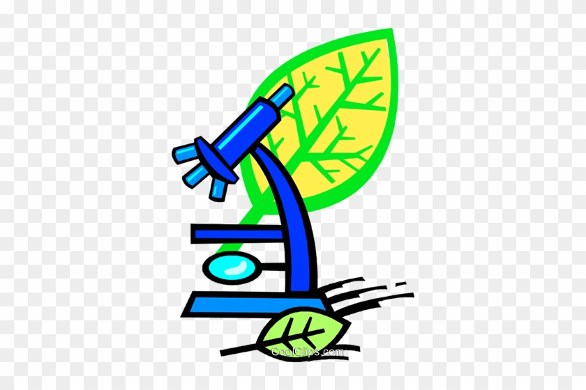 Mikroskop Vektor Clipart Bild Vc018782 Gr2 Patterns - Biology Clipart #155386