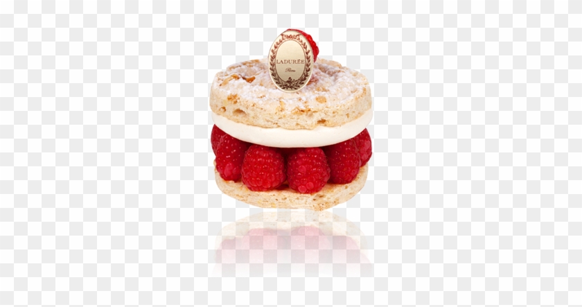 Teeth - Ladurée #815671
