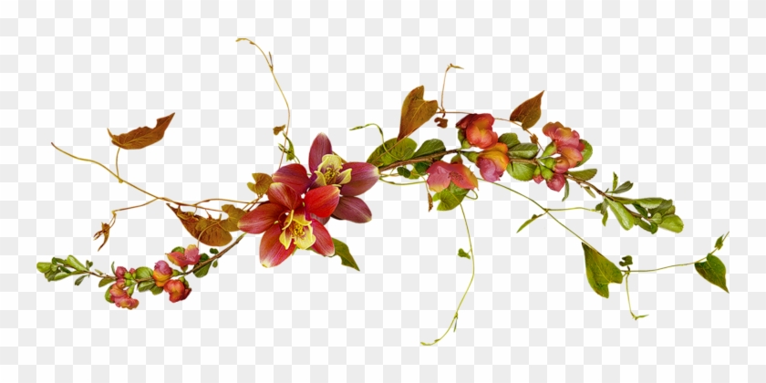 Download Image 800 X - Guirlande De Fleurs Png #815962
