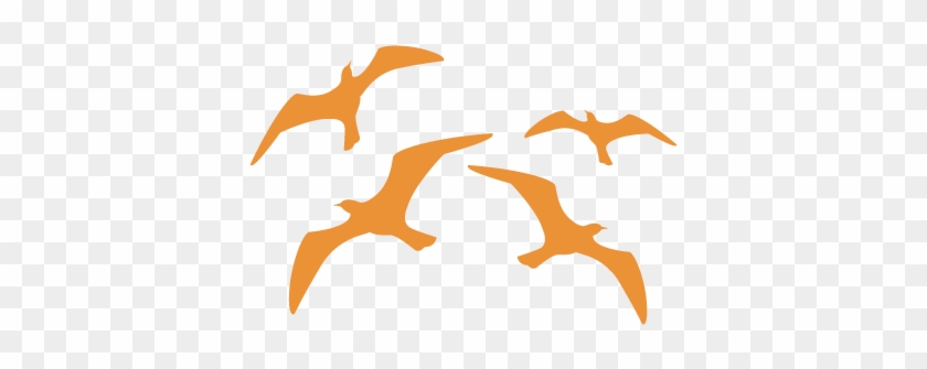 Stencil Aerografia Tattoo Animal 025 Gaviotas Volando - Stencil #816486