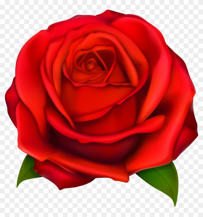 Image Of Clip Art Red Rose - Image Of Clip Art Red Rose #817706