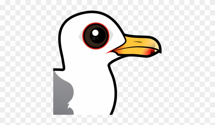 About The California Gull - Herring Gull Birdorable #817967