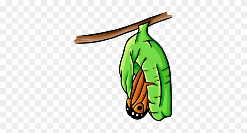 George Learns A Valuable Lesson In The Summer Which - Butterfly Coming Out Of Cocoon Clipart #818017