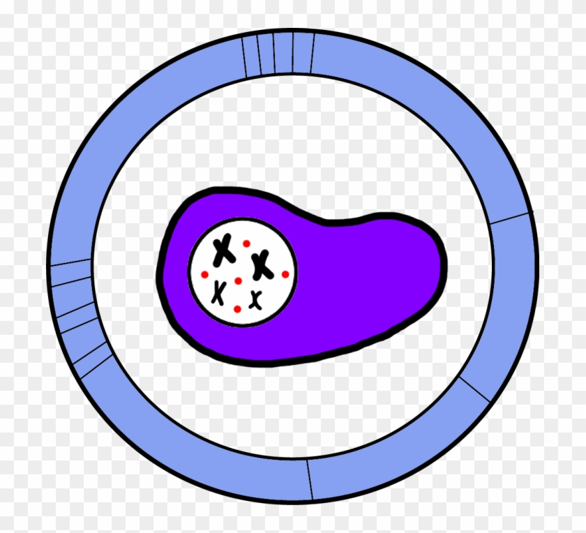 Interlab Study - Interlab Study #819484
