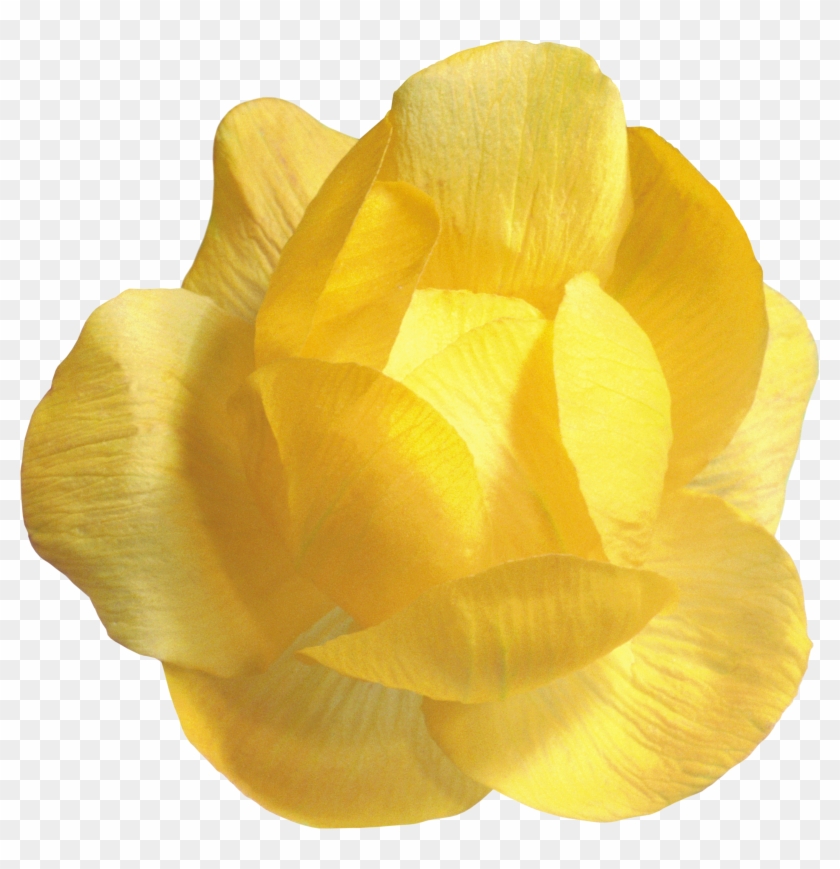 Картинка В Png - Yellow #819877