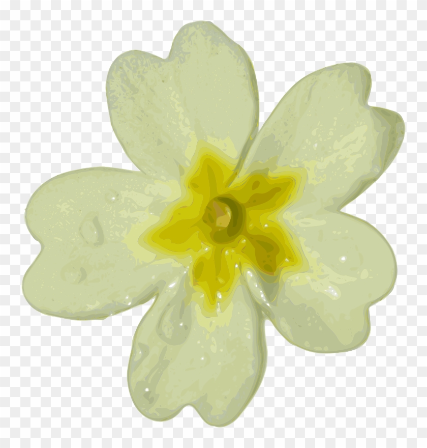 White Flower Png Download - White Flower Clipart #820045