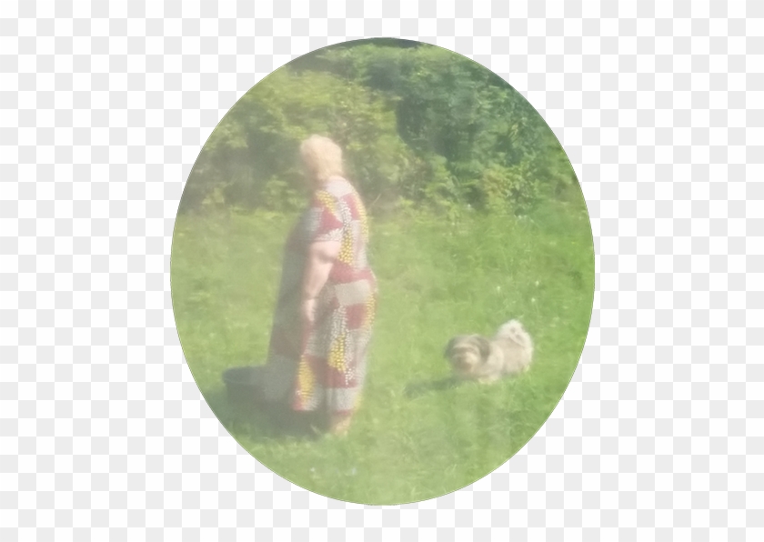 Pedagog - Keeshond #820070