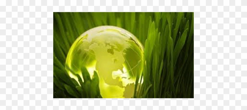 Green World - Protect The Environment Gif #820123
