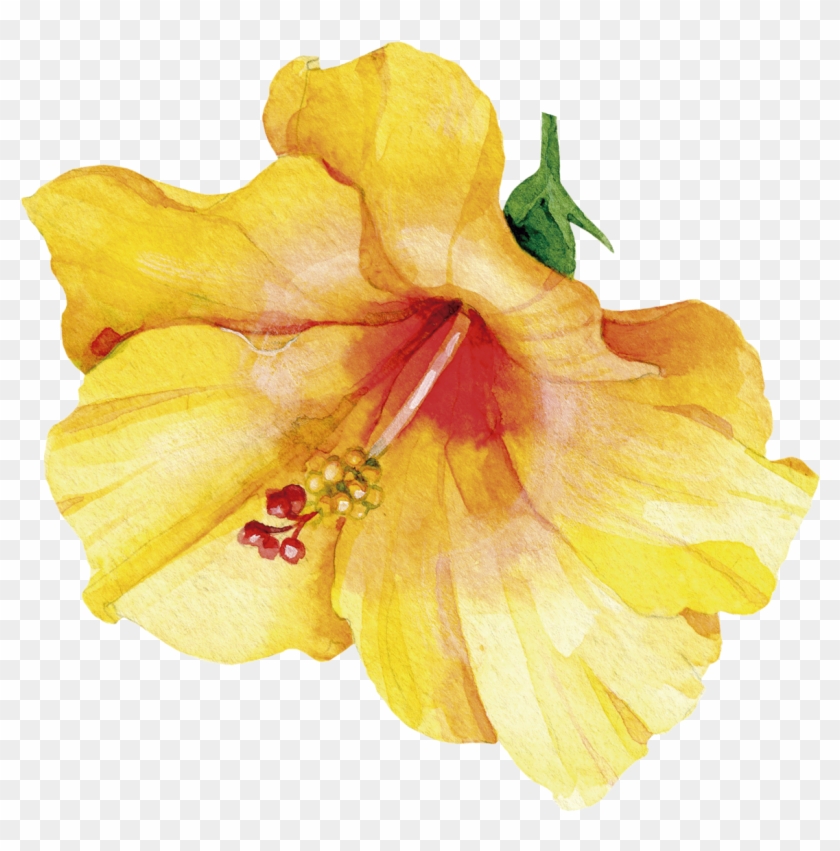 Lily #820182