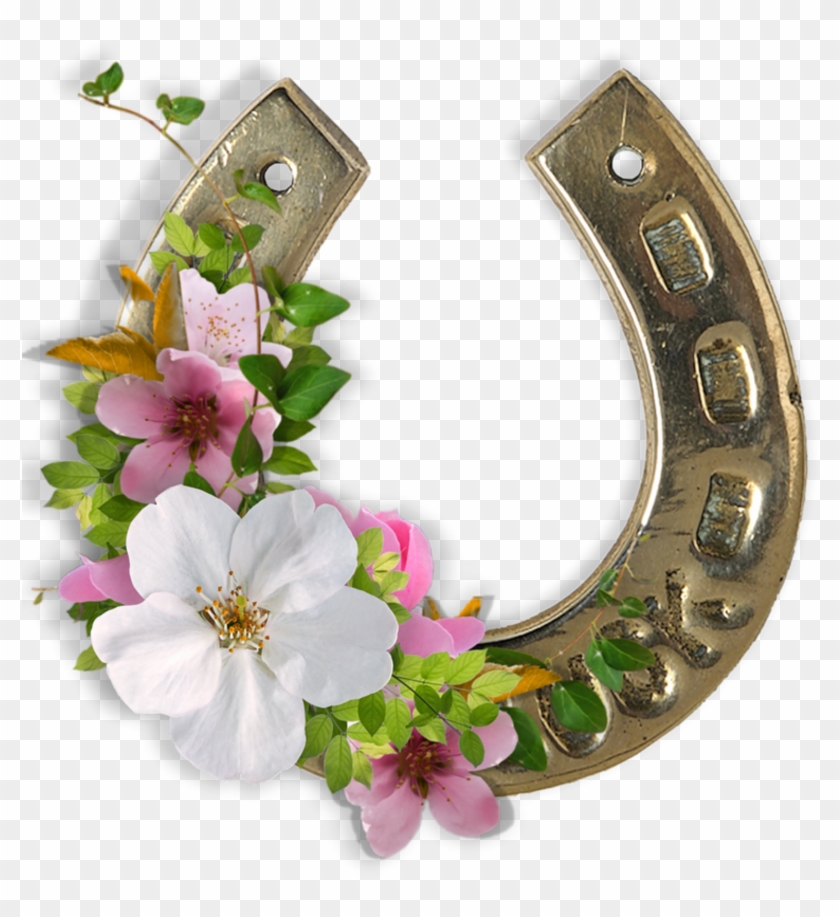 0 Bb281 B66557f Xl - Good Luck Decorative Horseshoe #820654