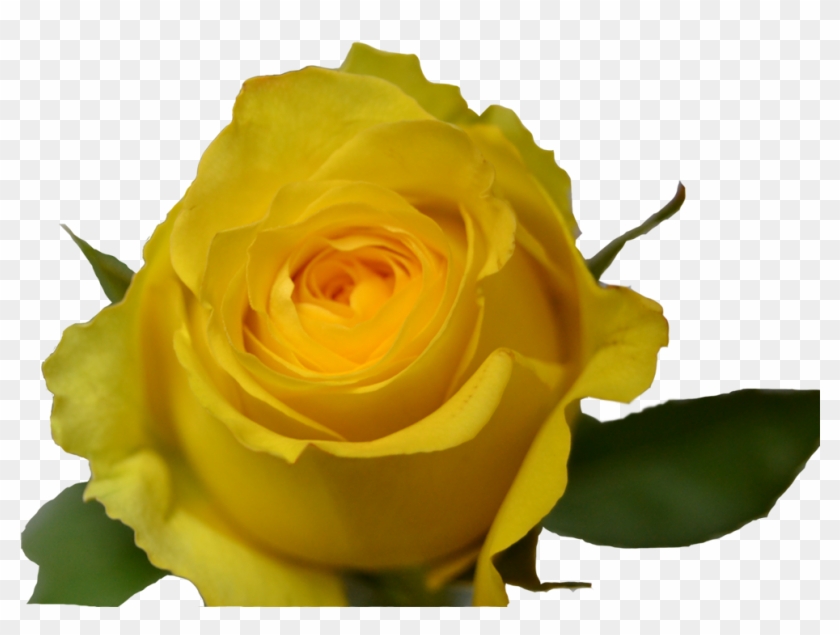 Yellow #820676