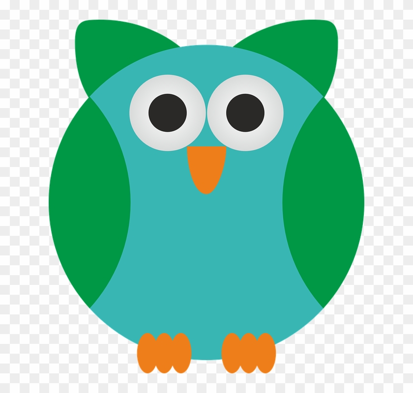Cartoon Pictures Of Owls 28, Buy Clip Art - Animales Con Plumas Para Dibujar #820728