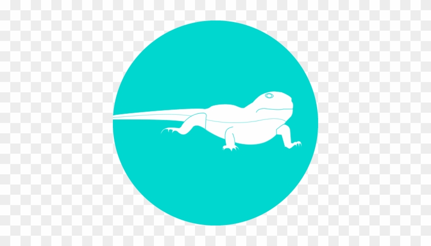 Telfairs Skink - Gecko #822219
