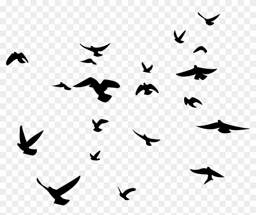 Flock Of Birds Clipart Migrating Bird - Bird Silhouette Png #823317