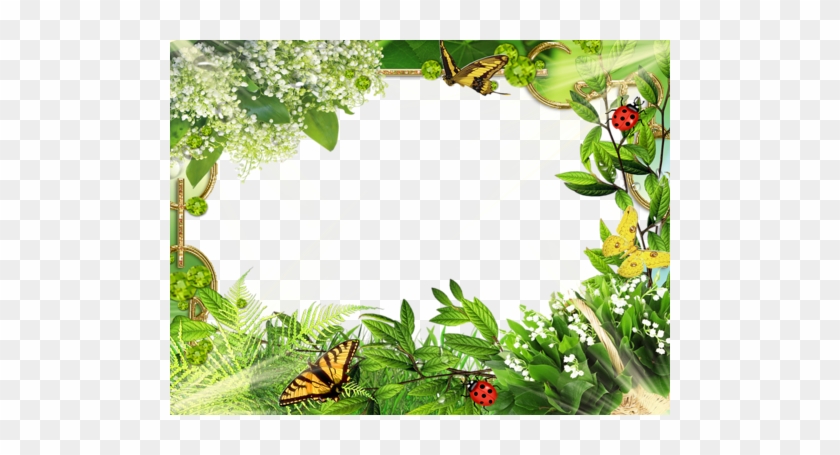 Fitiavana Mandrakizay #823930