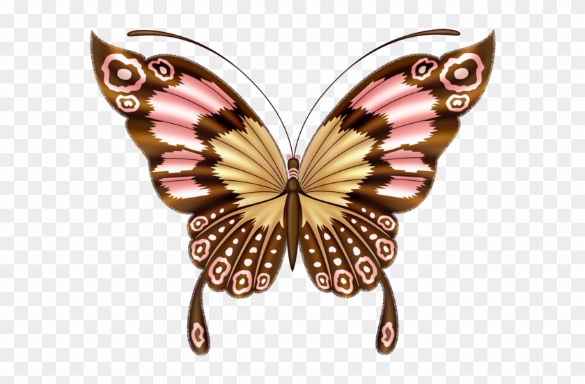 Clipart Butterfly - Butterfly Beautiful Art #823932