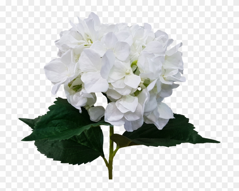 Cut Flowers Hydrangea Artificial Flower Flower Bouquet - Cut Flowers Hydrangea Artificial Flower Flower Bouquet #824468