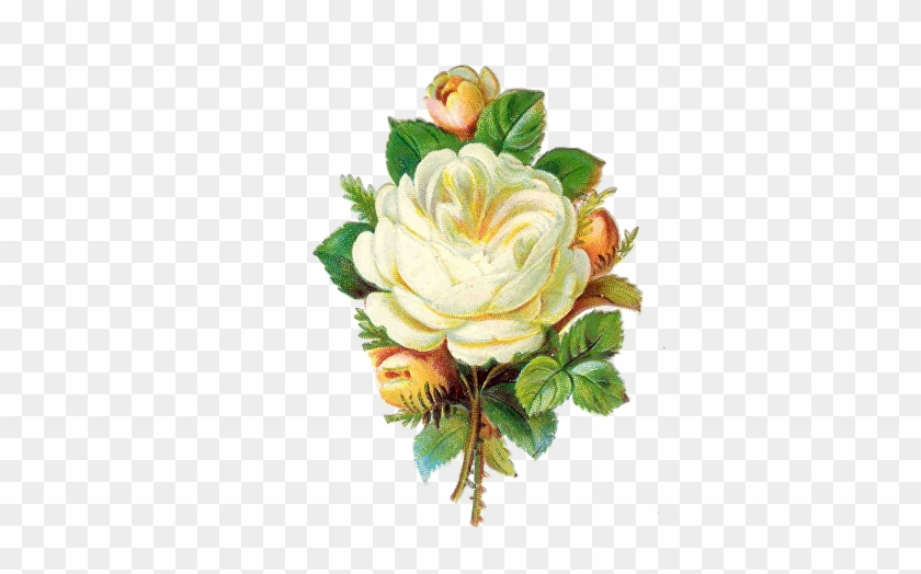 Cmyk Goodwill Caravan Logo 2018 Green Hellebore Wf-2png - Paper Moon Media Victorian Pink And White Roses Collage #824571