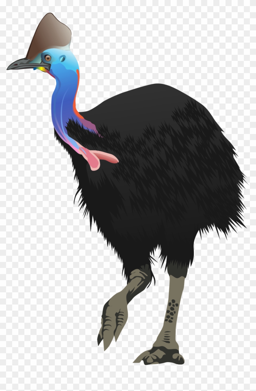 Free Cassowary Clip Art - Cassowary With No Background #824902