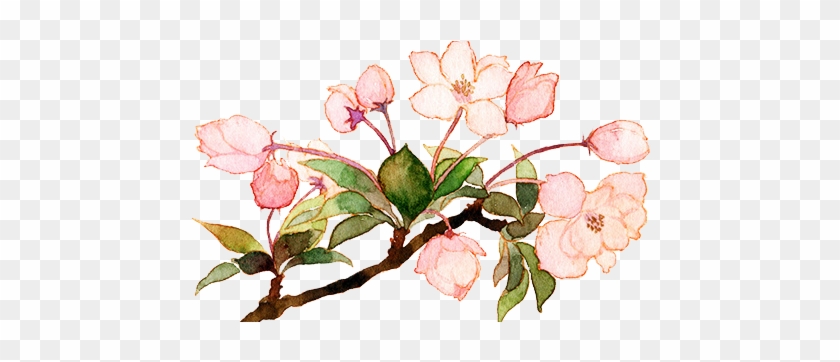 Deviantid - Flower Transparent #825406