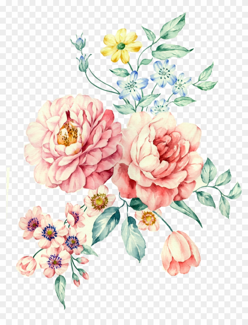Moutan Peony Watercolor Painting Download - Moutan Peony #825424