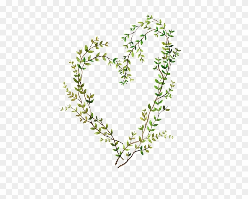 Watercolor Painting Heart Illustration - Watercolour Illustration Of Vines #825563