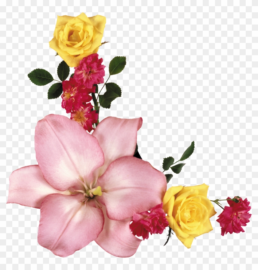 Картинка В Png - التجمع الأكبر للصفحات الهادفة #826519