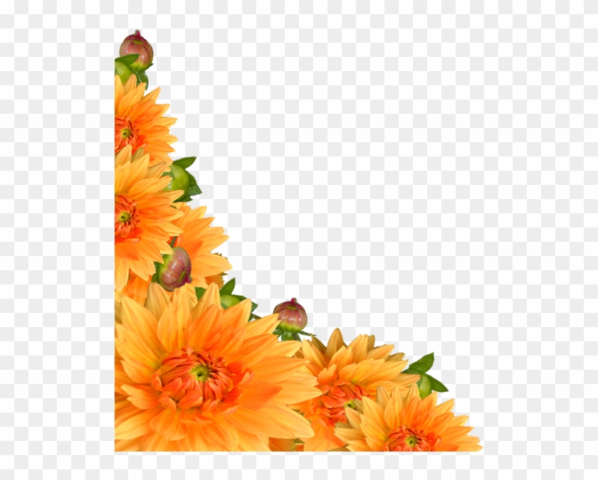 Flowers 4 - Gardening Products 4 Less Orange Crush Flower Bulb #826668