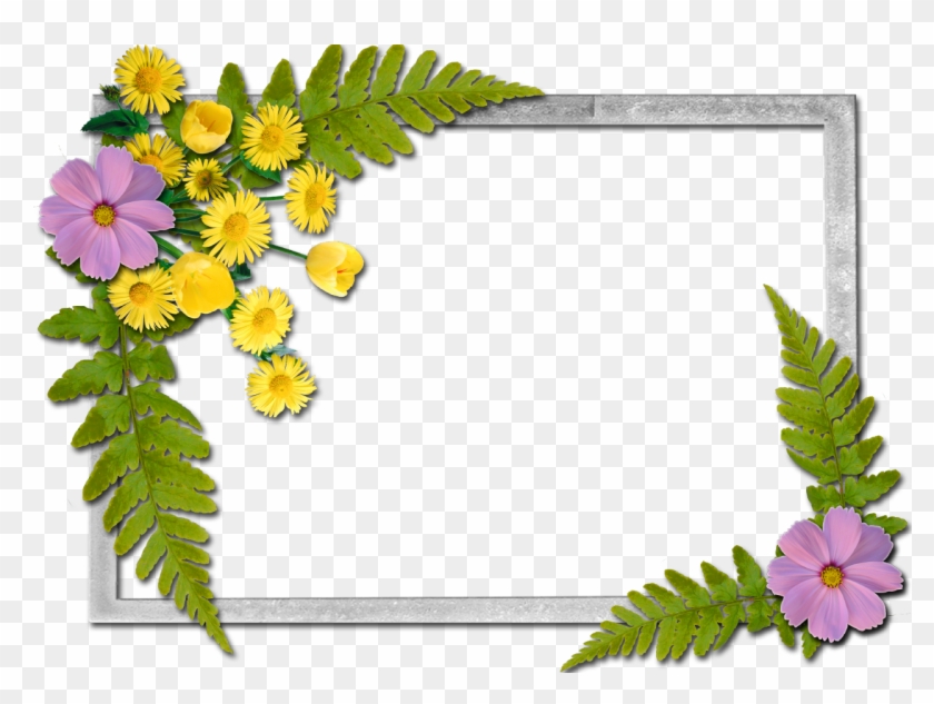 Picture Frames Flower A Butterfly - Flowers Frame #827007